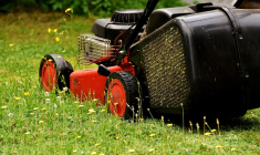 Une tondeuse vendue par Leroy Merlin et Weldom fait l'objet d'un rappel national. (illustration) (Alexas_Fotos / Pixabay)