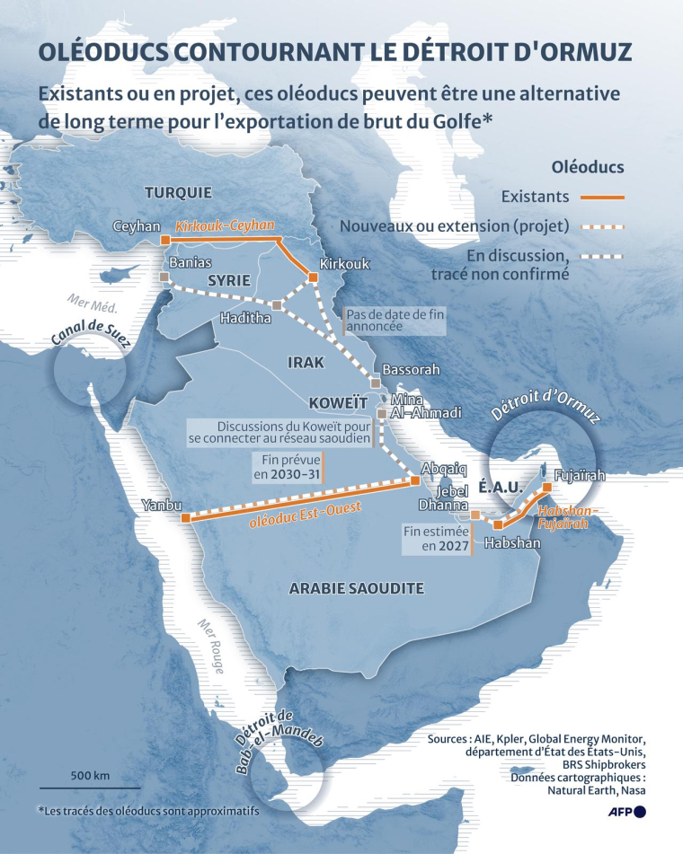 Carte montrant les oléoducs existants et en projet qui peuvent être des moyens de transport du pétrole brut contournant le détroit d'Ormuz sur le long terme ( AFP / Sherine ELSAYARY )