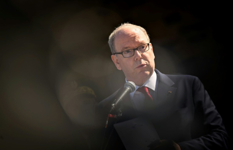 Le Prince Albert II de Monaco s'adresse au public à Saint-Martin-des-Besaces, dans le nord-ouest de la France, le 10 avril 2025 ( AFP / LOU BENOIST )