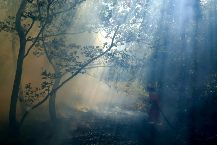 Un pompier dans une forêt incendiée à Sarande, en Albanie, le 12 août 2025 ( AFP / Adnan Beci )