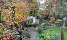 La cabane du projet "Silent Cabin", à Hoor, en Suède, le 28 octobre 2025 ( AFP / Camille BAS-WOHLERT )