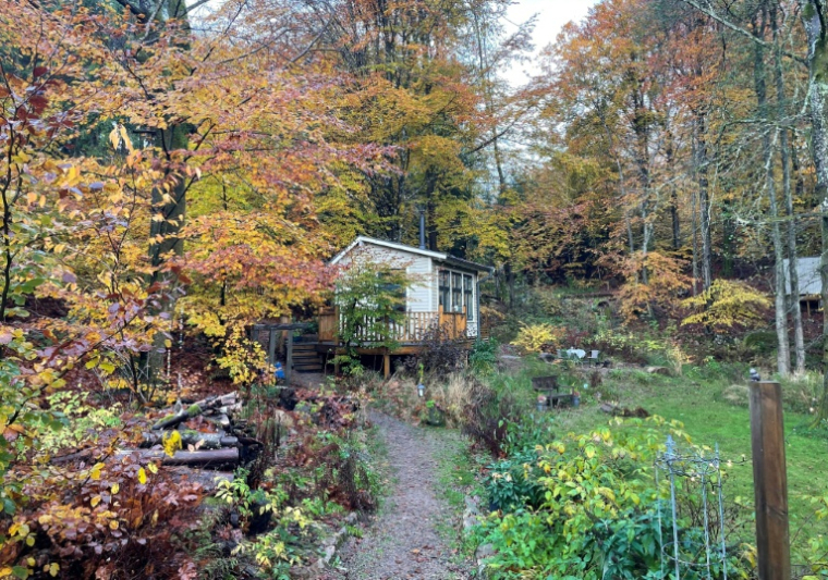 La cabane du projet "Silent Cabin", à Hoor, en Suède, le 28 octobre 2025 ( AFP / Camille BAS-WOHLERT )