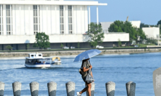 Une passante utilisant un parapluie pour se protéger du soleil et rester au frais, lors de la canicule à Washington, le 1er juillet 2026 ( AFP / Alex WROBLEWSKI )