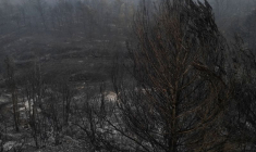 Dommages causés par un incendie dans le sud de la France