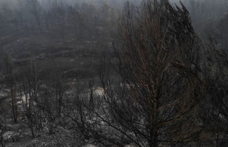 Dommages causés par un incendie dans le sud de la France