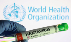 L'illustration montre des tubes à essai portant l'étiquette "Hantavirus positif" et le logo de l'OMS