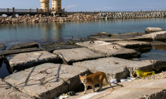 Le port d'Alexandrie le 31 octobre 2022 ( AFP / Khaled DESOUKI )