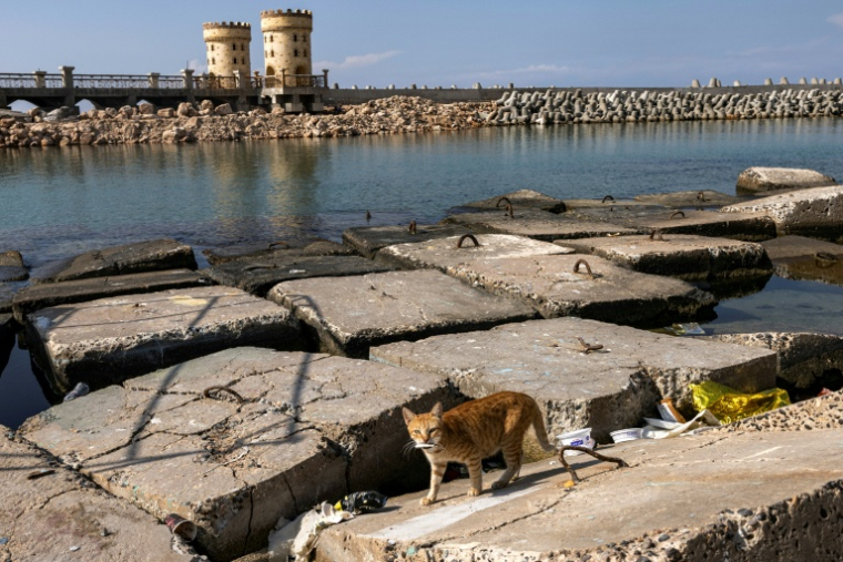 Le port d'Alexandrie le 31 octobre 2022 ( AFP / Khaled DESOUKI )