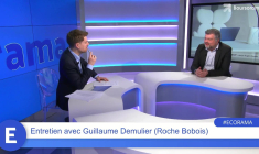 Guillaume Demulier (Président de Roche Bobois) : "La désirabilité de nos marques fait qu'on surperforme le marché !"