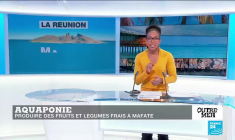 Guyane : deux personnes vaccinées décèdent du Covid-19