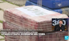 Le "tissu social" d'un pays peut-il être "favorable au développement du crime organisé" ?