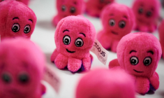 ( POOL / LEON NEAL )