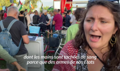 Venise: manifestation pour Gaza en marge de la Mostra