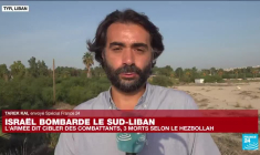 Israël bombarde le sud-Liban : l'Etat hébreu dit cibler des combattants du Hezbollah