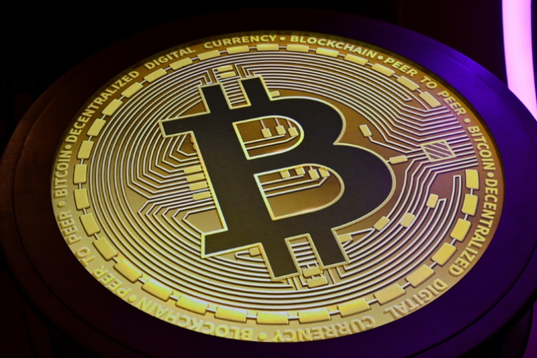 Trois hommes ont été condamnés à Vesoul à des peines de 25 et 30 ans de réclusion pour avoir assassiné un étudiant de 19 ans pour s'approprier ses bitcoins ( AFP / Giuseppe CACACE )