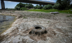 Un pneu git dans le cours du Danube asséché, près du pont Vidin-Calafat qui relie la Bulgarie et la Roumanie, au niveau du village d'Antimovo, dans le sud-est de la Bulgarie, le 22 juillet 2026 ( AFP / Nikolay DOYCHINOV )