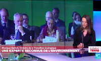 Monique Barbut, une diplomate de l'environnement nommée ministre de la Transition écologique