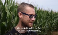 En Alsace, le labyrinthe dans le maïs fait un tabac