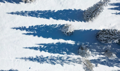 Trees cast long shadows on new snow along a mountain pass road near Toblach running between the Olympic venues in Cortina and Antholz, northern Italy prior to the Milano Cortina 2026 Olympic Games, on January 26, 2026. ( AFP / Odd ANDERSEN )