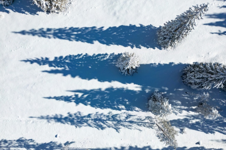 Trees cast long shadows on new snow along a mountain pass road near Toblach running between the Olympic venues in Cortina and Antholz, northern Italy prior to the Milano Cortina 2026 Olympic Games, on January 26, 2026. ( AFP / Odd ANDERSEN )
