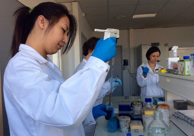 Les laboratoires de la société Biophytis. (crédit : Biophytis)