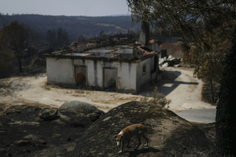 Une maison détruite dans le village portugais de Casal do Monte, le 20 août 2025. ( AFP / PATRICIA DE MELO MOREIRA )