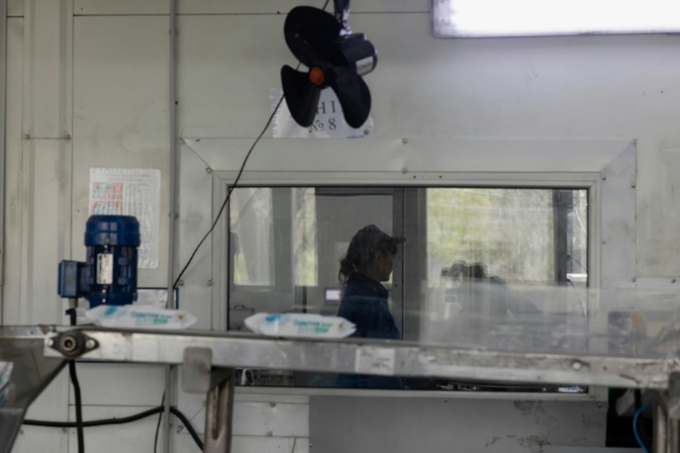 Un employé de Biosphere, à Dnipro le 21 avril 2026 en Ukraine ( AFP / Tetiana DZHAFAROVA )