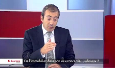 De l'immobilier dans son assurance vie : judicieux ?  (VIDEO)