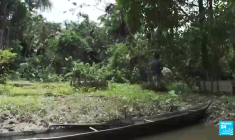 Venezuela : les Amérindiens waraos durement touchés par le fléau du sida