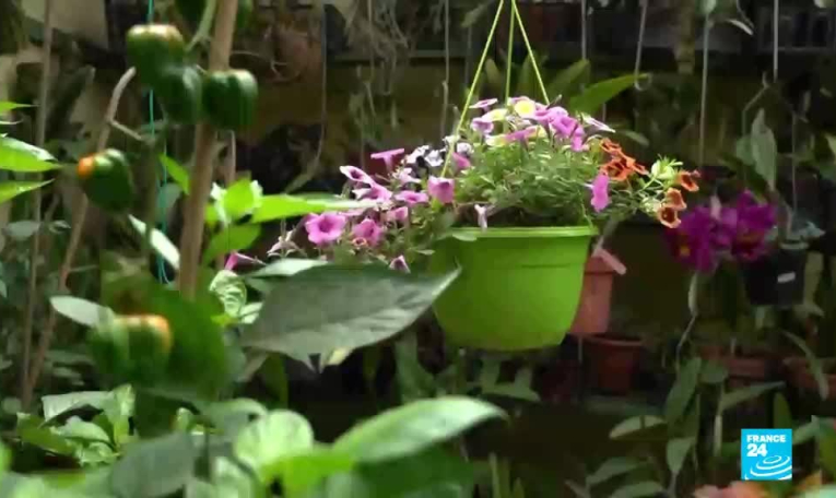 Le Costa Rica, champion du climat