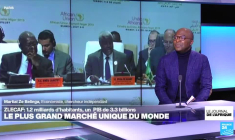 L'Afrique du Sud quitte "temporairement" le G20 pour éviter les tensions avec Washington