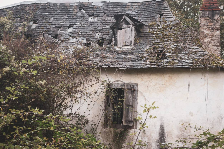 Immeuble en déshérence : comment racheter un bien abandonné par son propriétaire ? / iStock.com - Nataliia Shcherbyna