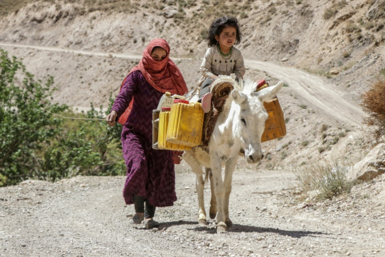 Une femme afghane et une fillette acheminent des bidons d'eau sur un âne dans le village de Qavariyak, dans la province centrale afghane de Bamiyan, le 18 juin 2025 ( AFP / Mohammad Faisal NAWEED )