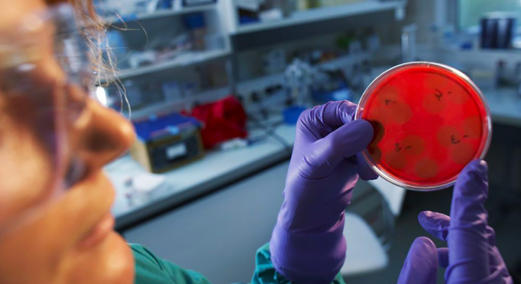 Le leader mondial des vaccins compte passer de 7 à 10 milliards d’euros de chiffre d’affaires cette année. (© Sanofi)