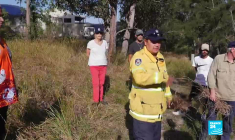Un an après les monstrueux incendies, l'Australie a-t-elle tiré des leçons ?