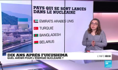 Dix ans après Fukushima, quel avenir pour l'énergie nucléaire ?