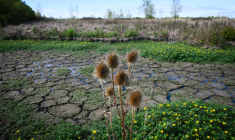 Le lit d'un ruisseau à sec à Machecoul, en Loire-Atlantique, le 3 septembre 2026 ( AFP / Loic VENANCE )