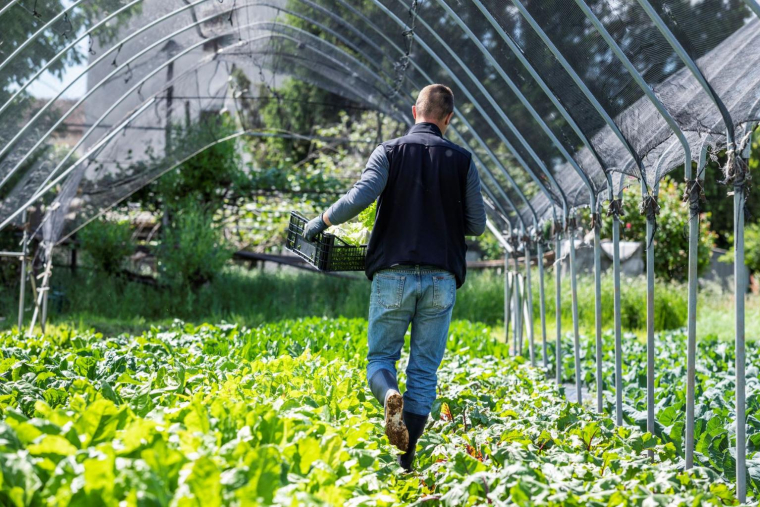 Les fonds «Relance» investissent dans des entreprises qui répondent aux critères ESG (Environnement, Social et de Gouvernance). ( crédit photo : GettyImages )