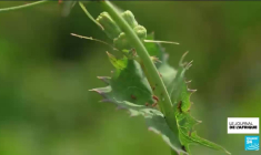 PDCI : Thaim réélu sans surprise