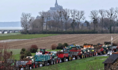 Un convoi de tracteurs durant une manifestation de la Coordination rurale près du Mont-Saint-Michel, le 18 décembre 2025 ( AFP / Damien MEYER )
