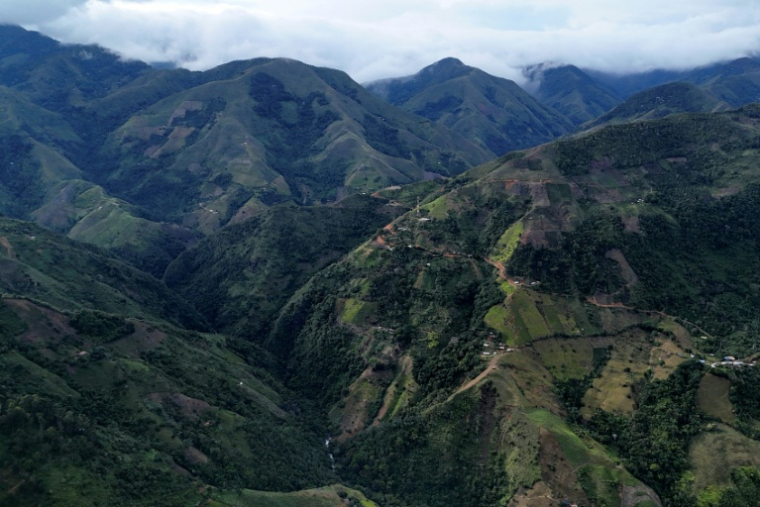 Vue aérienne de la région de Naya, dans le département du Cauca, le 12 février 2026 en Colombie  ( AFP / Joaquín SARMIENTO )