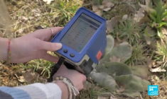 Friches industrielles : la difficile dépollution