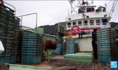 Le nombre de bunkers explose au Japon