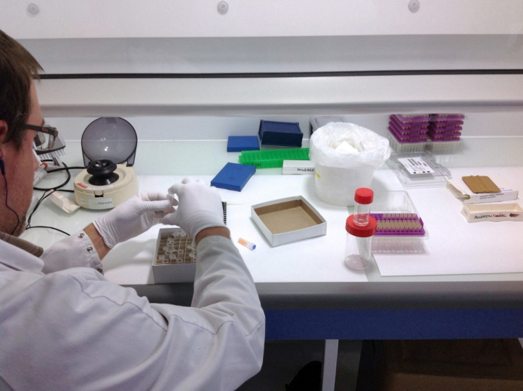 Un laboratoire de recherche de Limagrain. (illustration) ( AFP / SANDRA LAFFONT )