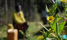 Le drame de Rebecca Cheptegei, un révélateur des violences domestiques au Kenya