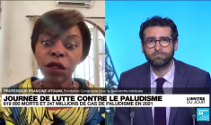 Le paludisme, un fléau qui a tué 619 000 personnes en 2021