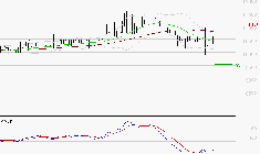 BAINS MER MONACO : Peu de risque à moyen terme