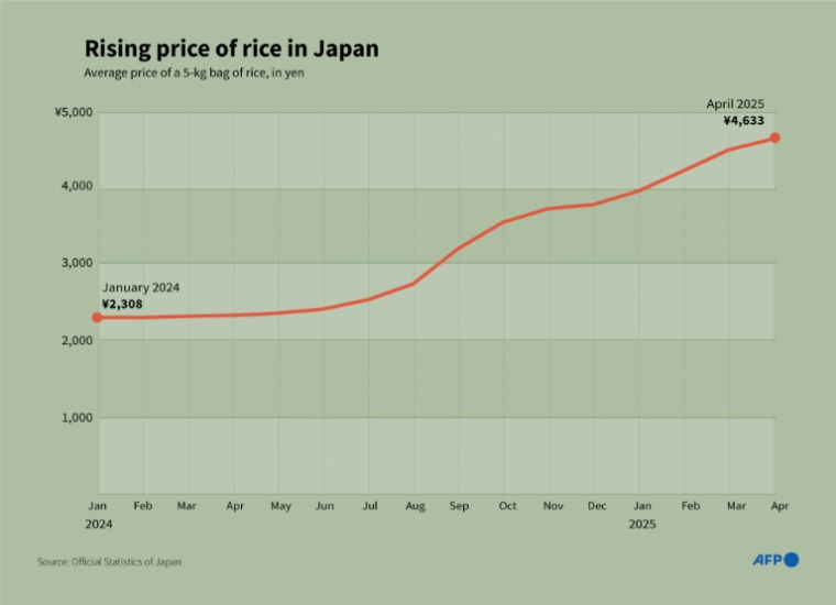 Rice prices have become a political hot topic ( AFP / Janis LATVELS )
