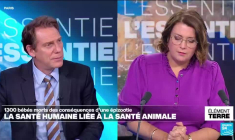 Une maladie de la chauve souris liée à la mort de 1300 bébés aux Etats-Unis