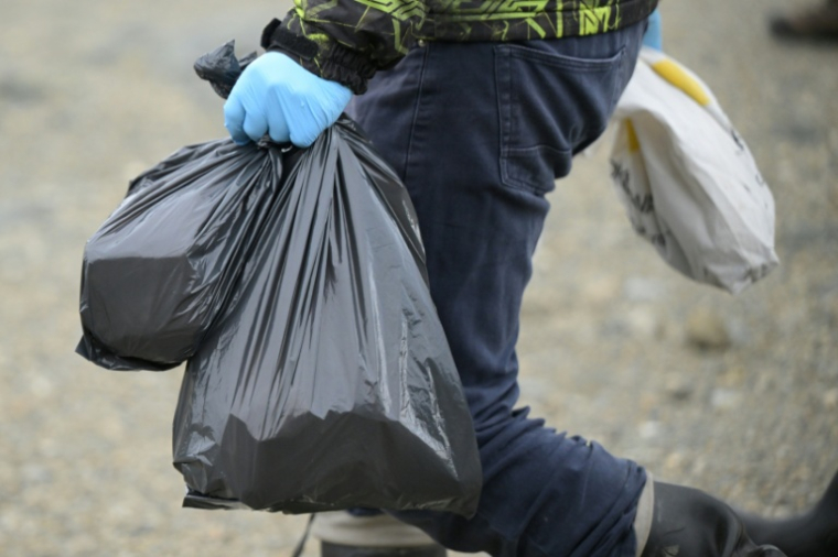 Des scientifiques de l'Institut Malbran, des représentants du ministère de la Santé de la province de Terre de Feu et des membres de l'Administration des parcs nationaux transportent des souris piégées, près d'Ushuaia, en Argentine, le 18 mai 2026 ( AFP / JUAN MABROMATA )